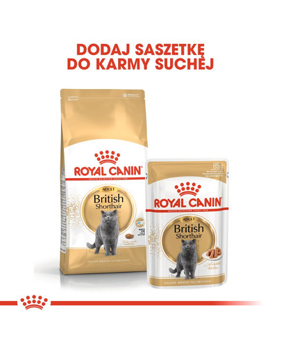 ROYAL CANIN British Shorthair Adult 4kg granule pre britské krátkosrsté mačky