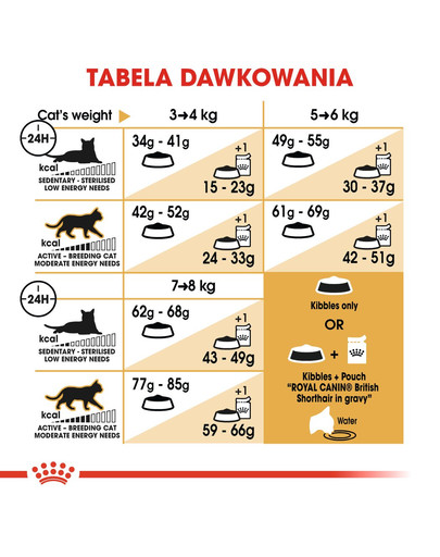 ROYAL CANIN British Shorthair Adult 4kg granule pre britské krátkosrsté mačky