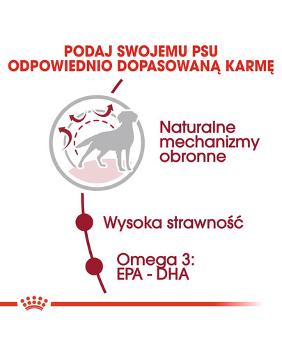 ROYAL CANIN Medium adult 10 kg