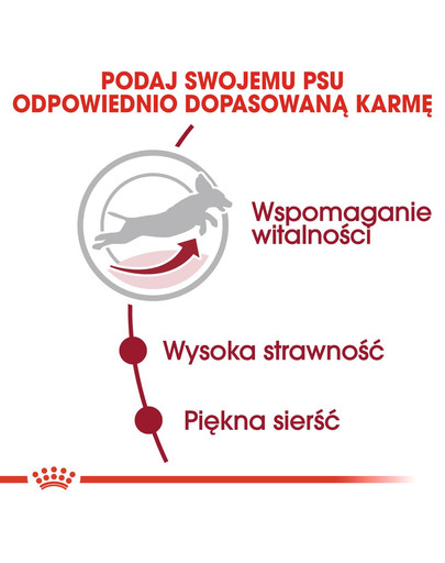 ROYAL CANIN Medium Adult 7+ 10 kg granule pre dospelé starnúce stredné psy