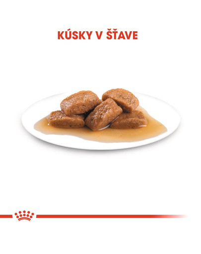 ROYAL CANIN Maxi ageing 8+ 140 g