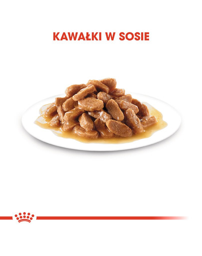 ROYAL CANIN Mini puppy 85 g