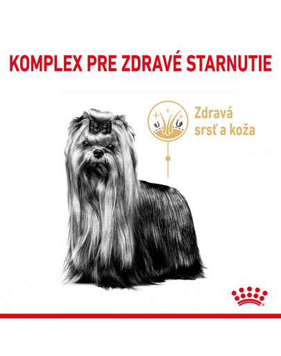 ROYAL CANIN Yorkshire Terrier Adult 8+ 500g granule pre staršieho jorkšírskeho teriéra