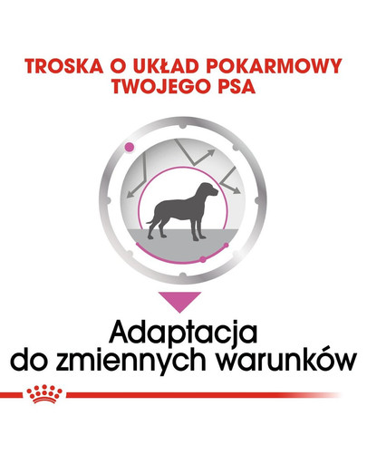 ROYAL CANIN Relax Care 12 x 85 g