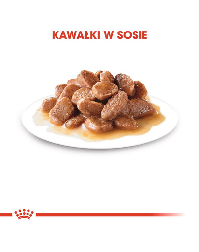 ROYAL CANIN Digest SENSITIVE 85g x 12