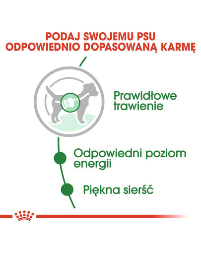 ROYAL CANIN Mini adult 12x85 g kapsička v šťave pre dospelých psov malých plemien