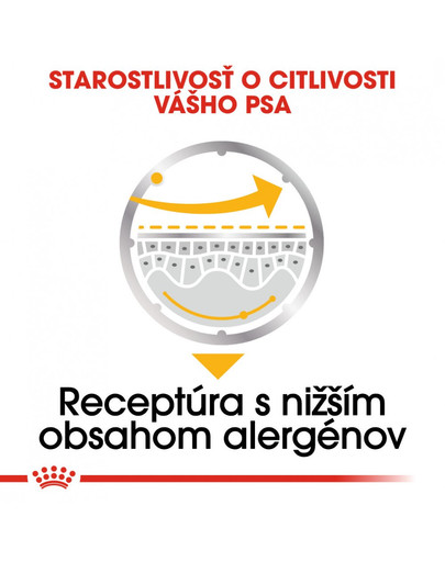 ROYAL CANIN Dermacomfort Dog Loaf 85g x12