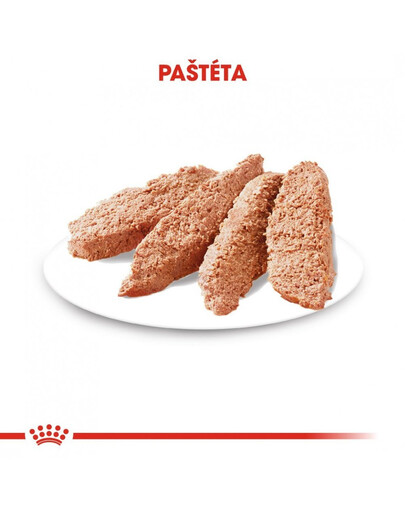 ROYAL CANIN Exigent Dog Loaf 12x85g kapsička s paštétou pre maškrtné malé psy