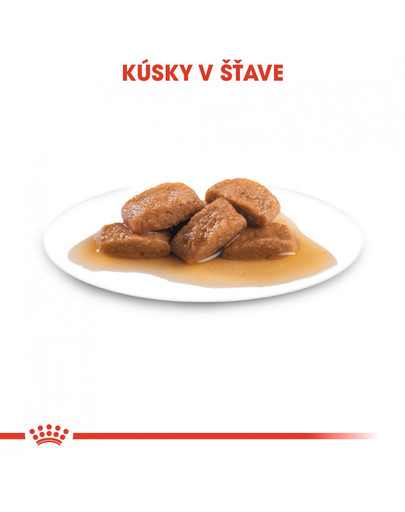 ROYAL CANIN Maxi Adult 10x140g