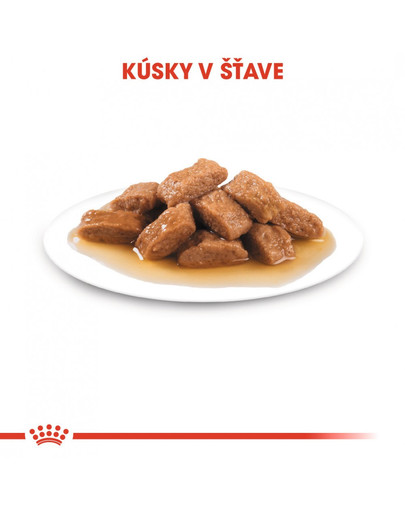 ROYAL CANIN Medium ageing 10+ 10x140g kapsička pre staré stredné psy