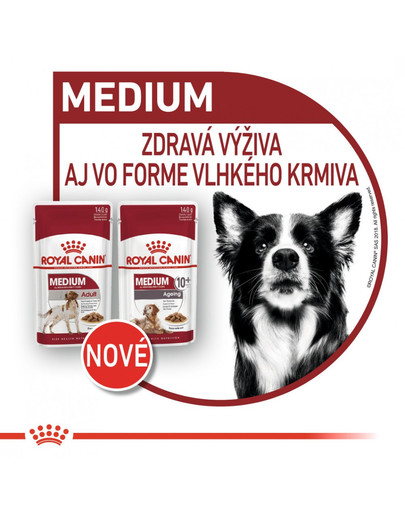 ROYAL CANIN Medium ageing 10+ 10x140g kapsička pre staré stredné psy