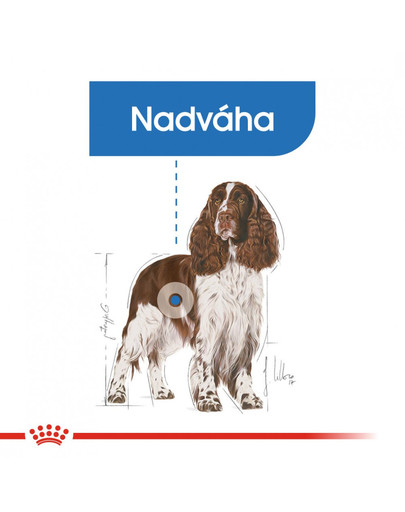 ROYAL CANIN Medium Light Weight Care 10 kg diétne granuly pre stredných psov