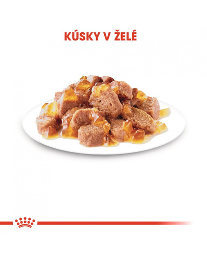 ROYAL CANIN Ultra Light Jelly 85g x 12 kapsička pre mačky s nadváhou v želé