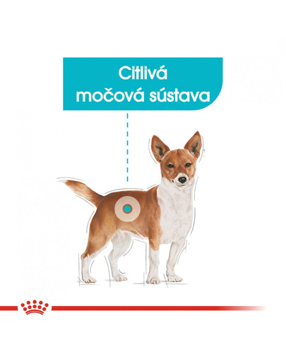 ROYAL CANIN Urinary Care Dog Loaf 85g x12 kapsička s paštétou pre psy s obličkovými problémami
