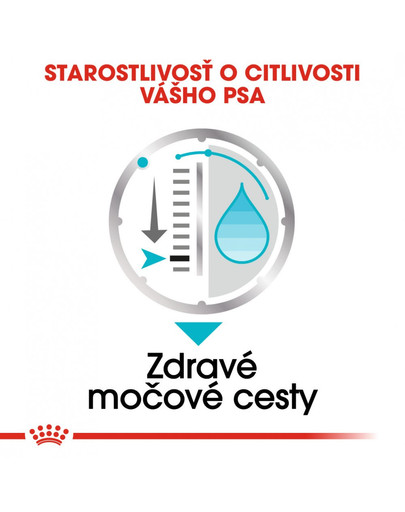 ROYAL CANIN Urinary Care Dog Loaf 85g x12 kapsička s paštétou pre psy s obličkovými problémami