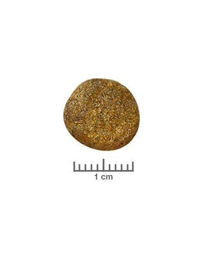 ROYAL CANIN Veterinary Diet Dog Renal Special 2 kg