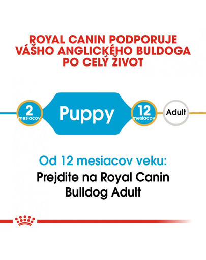 ROYAL CANIN Bulldog Puppy 12 kg granule pre šteňa buldoga