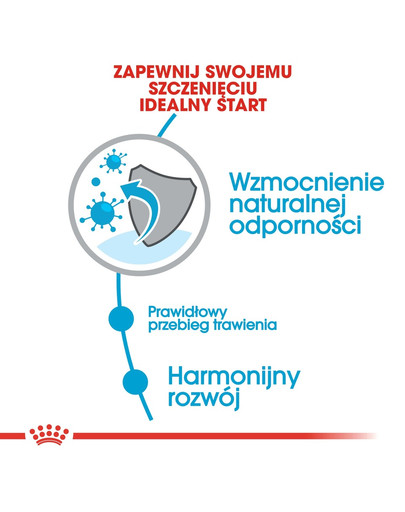 ROYAL CANIN Mini Puppy 8 kg + Mini puppy 12x85 g