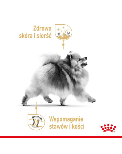 ROYAL CANIN Pomeranian Adult  paštéta 12x85g
