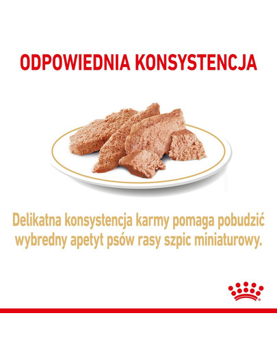ROYAL CANIN Pomeranian Adult  paštéta 12x85g