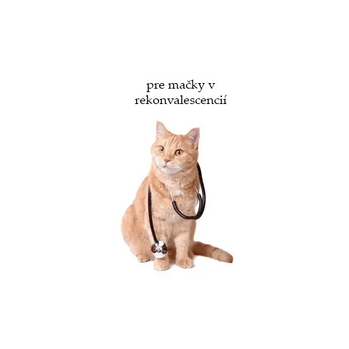 Veterinárne krmivo pre mačky v rekonvalescencií