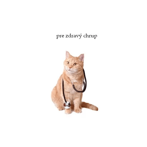Veterinárne krmivo pre zdravý chrup