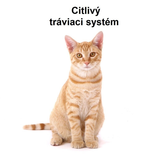 Citlivý tráviaci systém