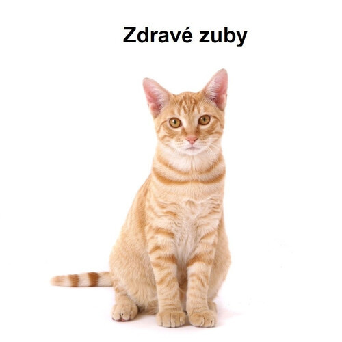 Zdravé zuby