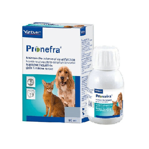 Ľadviny a žalúdok