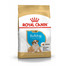 ROYAL CANIN Bulldog Puppy 12 kg granule pre šteňa buldoga