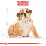 ROYAL CANIN Bulldog Puppy 2 x 12 kg granule pre šteňa buldoga