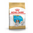 ROYAL CANIN Cavalier King Charles Puppy 1,5 kg granule pre šteňa gavalieršpaniela