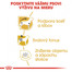 ROYAL CANIN Dachshund Adult 1,5 kg granule pre dospelého jazvečíka