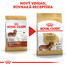 ROYAL CANIN Dachshund Adult 1,5 kg granule pre dospelého jazvečíka