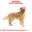 ROYAL CANIN Golden Retriever Adult 2 x12 kg granule pre dospelého zlatého retrievera