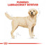 ROYAL CANIN Labrador Adult 3 kg granule pre dospelého labradora