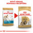 ROYAL CANIN Shih Tzu Adult 500g granule pre dospelého Shih Tzu