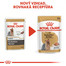 ROYAL CANIN Yorkshire Loaf 12 x 85g
