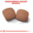 ROYAL CANIN Giant adult 4 kg granuly pre dospelé obrie psy