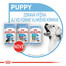ROYAL CANIN Maxi puppy 10x140 g kapsička pre veľké šteňatá