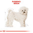 ROYAL CANIN Bichon Frise Adult 1,5 kg pre psov od 10 mesiacov pre plemeno Bichon Frise