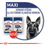 ROYAL CANIN Maxi ageing 8+ 140 g