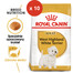 ROYAL CANIN West Highland White Terrier Adult karma sucha dla psów dorosłych 1.5 kg x 10