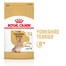 ROYAL CANIN Yorkshire Terrier Adult 8+ 3 kg granule pre staršieho jorkšírskeho teriéra