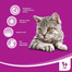 WHISKAS Mäsová  krémová polievka 4x 85g