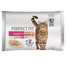 PERFECT FIT Cat Adult 1+ mäsové sáčky 4x85 g