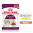 ROYAL CANIN Sensory Smell Gravy 12x85 g kúsky v šťave pre dospelé mačky