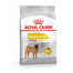 ROYAL CANIN Medium Dermacomfort 12 kg granule pre stredné psy s problémami s kožou a srsťou