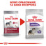 ROYAL CANIN Maxi Digestive Care 12 kg granule pre veľké psy s citlivým trávením