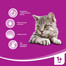 WHISKAS Hovädzie v omáčke 100 gx 18 + 6 ZADARMO